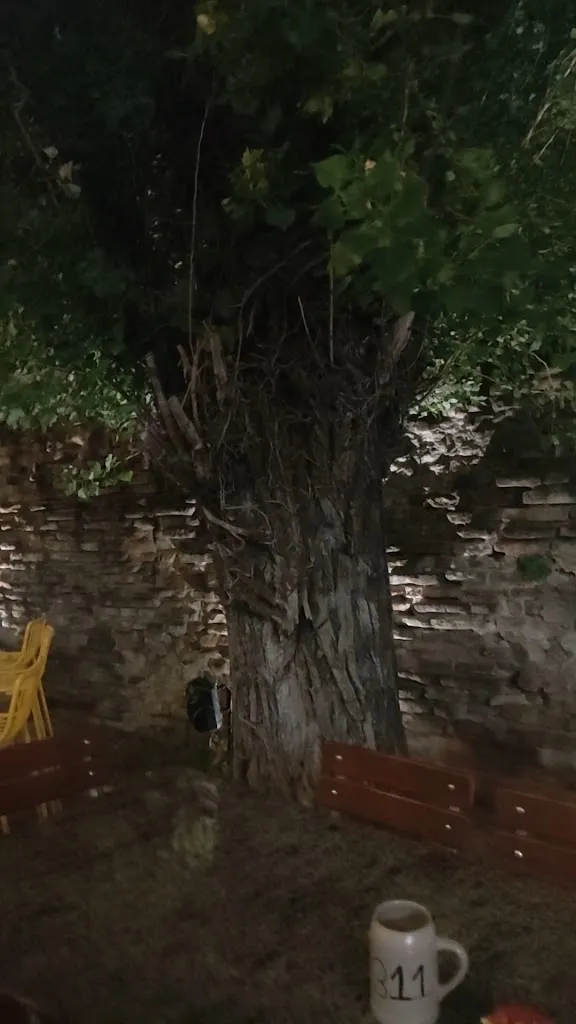 Pub ristorante Birrodromo Rimini_Provincia di Rimini_slider_image_2