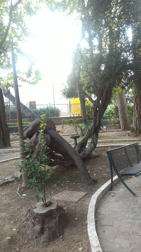 M. G._Pizzeria Pino Verde_Bisenti_review