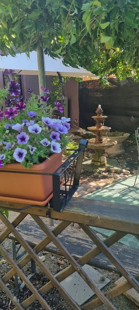 Katia Megaro_Albergo Bar Fonda_Reggiolo_review