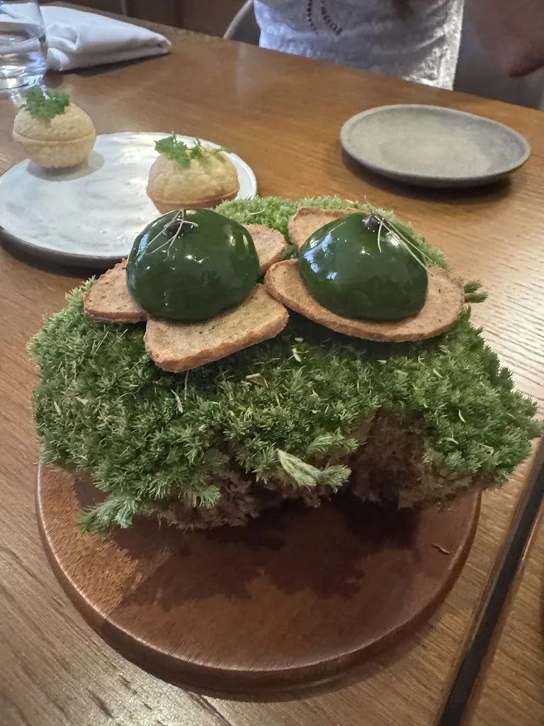 Jacqueline Chen_Bistrot64_Progetto Case Sassa Nsi_recensione