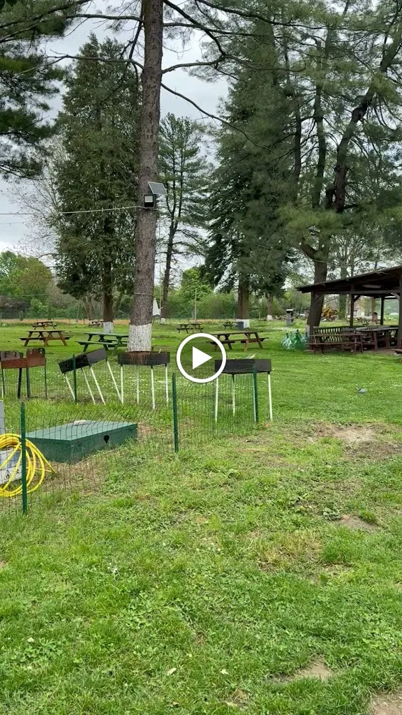 Laghetto San Cipriano_Roccabianca_slider_image_2