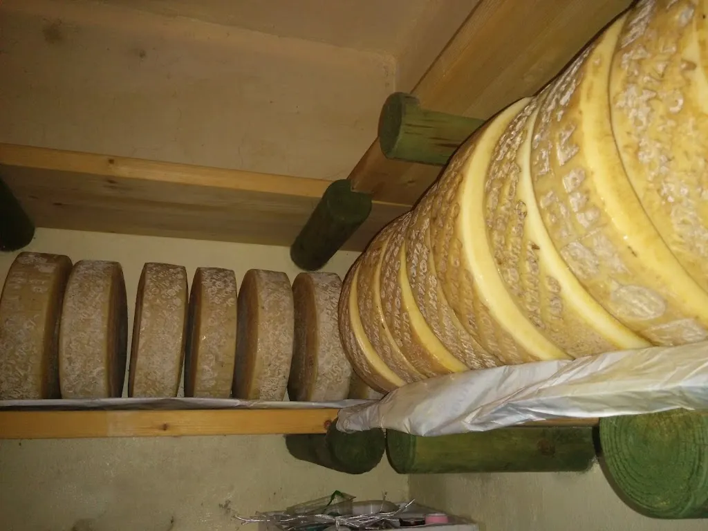 Menu_Casa Travisani di Travisani Giacomo Ristorante-Fosse del Monte_Roncofreddo-Santa Paola_image_5