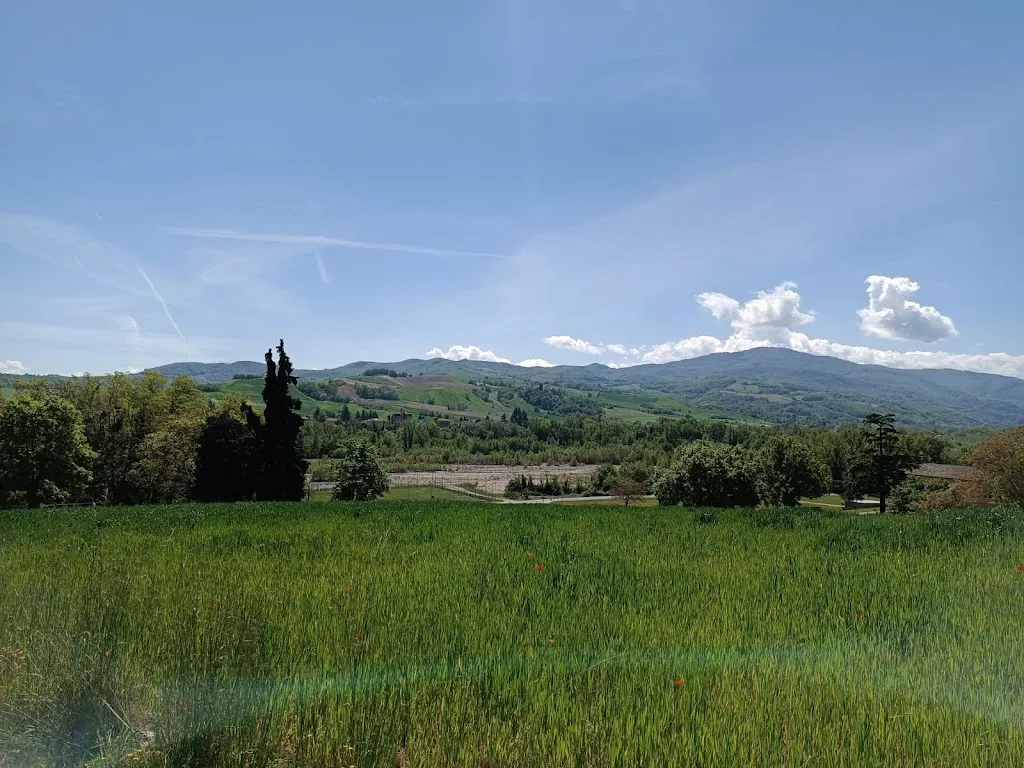 Michaela Neradová_Anime Salve B&B Home Restaurant_Sala Baganza_review