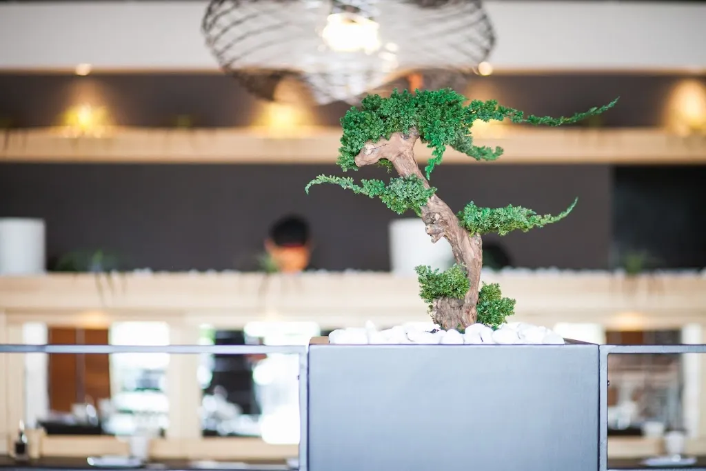 Crudo restaurant in Rubiera