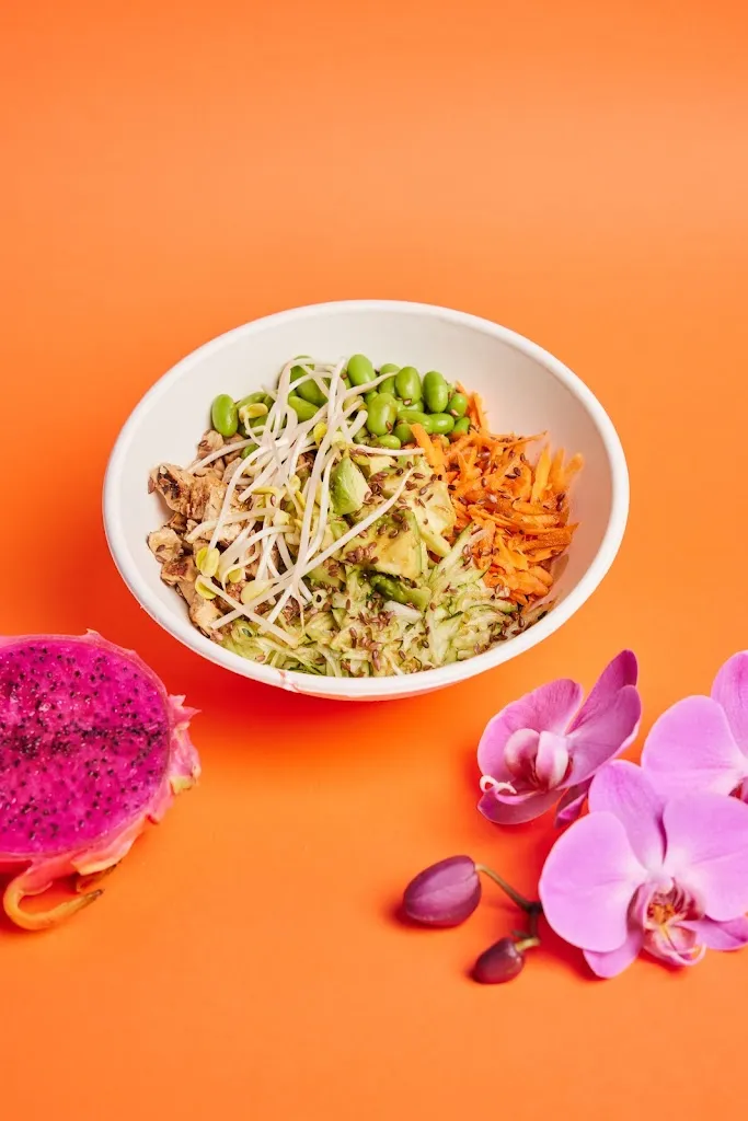 Menu_Pokétinho_Rubiera_image_9