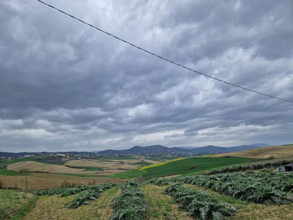 Ristorante da Tanfol - Cucina Romagnola con Vista | Fiorentina & Pizzeria a Saludecio_Saludecio_slider_image_3
