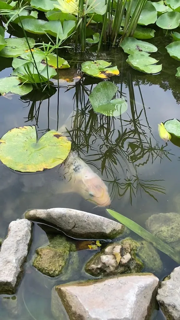 Giardino Botanico Gavinell_Salsomaggiore Terme_slider_image_2