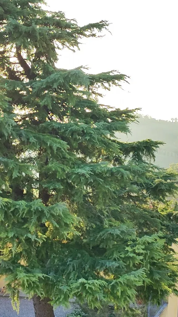 Agriturismo Il Colore del Grano_Salsomaggiore Terme_slider_image_2