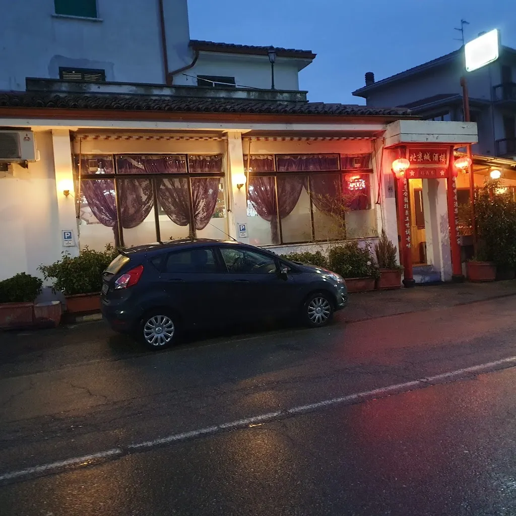 Gabriele Illica_Ristorante Pechino di Zhou Lijiao_Salsomaggiore Terme_review