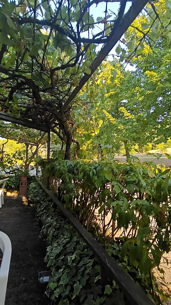 Massimo Fanzaghi_Ristorante la Baita_Salsomaggiore Terme_recensione