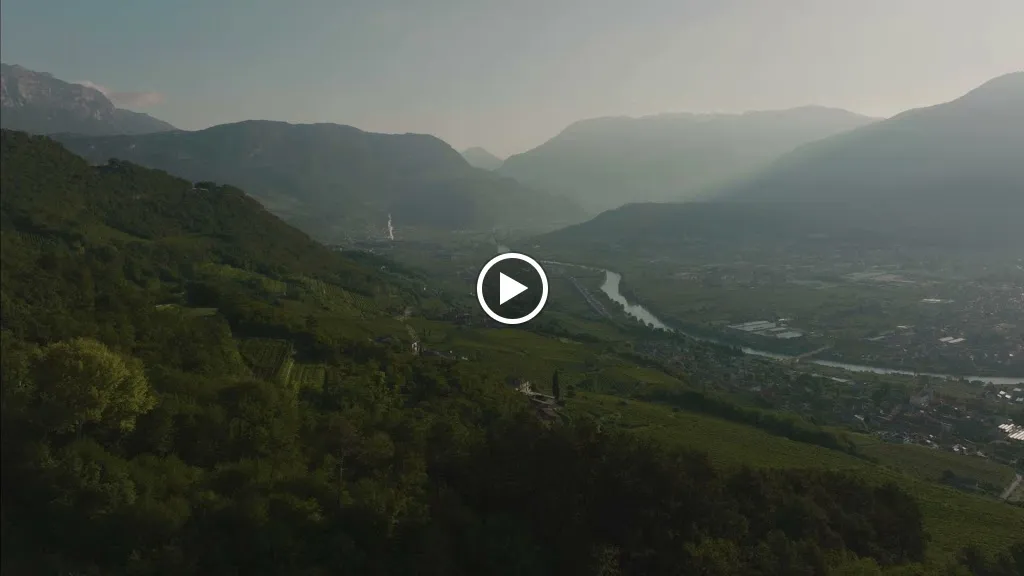 Casa Del Vino della Vallagarina_Rovereto_slider_image_2