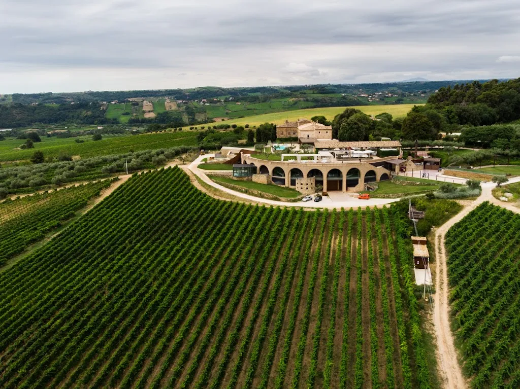 Tenuta Di Sipio_Ripa Teatina_slider_image_3