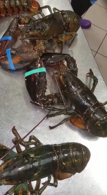 Ristorante Tre Roveri_Rovereto_slider_image_2