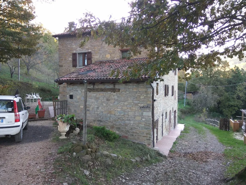 Bartosz Truszkowski_B&B La Pieve_San Benedetto Val di Sambro_review