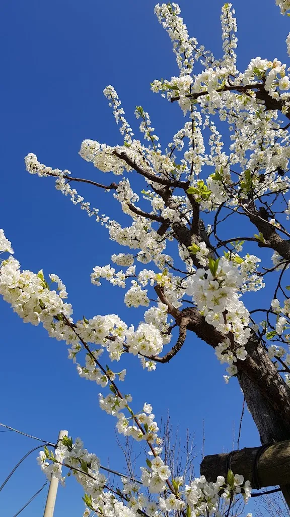 Marco B_Farmhouse Bella Rama_San Cesario sul Panaro_recensione