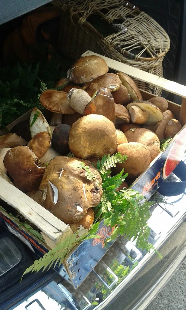 Menu_Lubò Food And Good_San Cesario sul Panaro_image_6