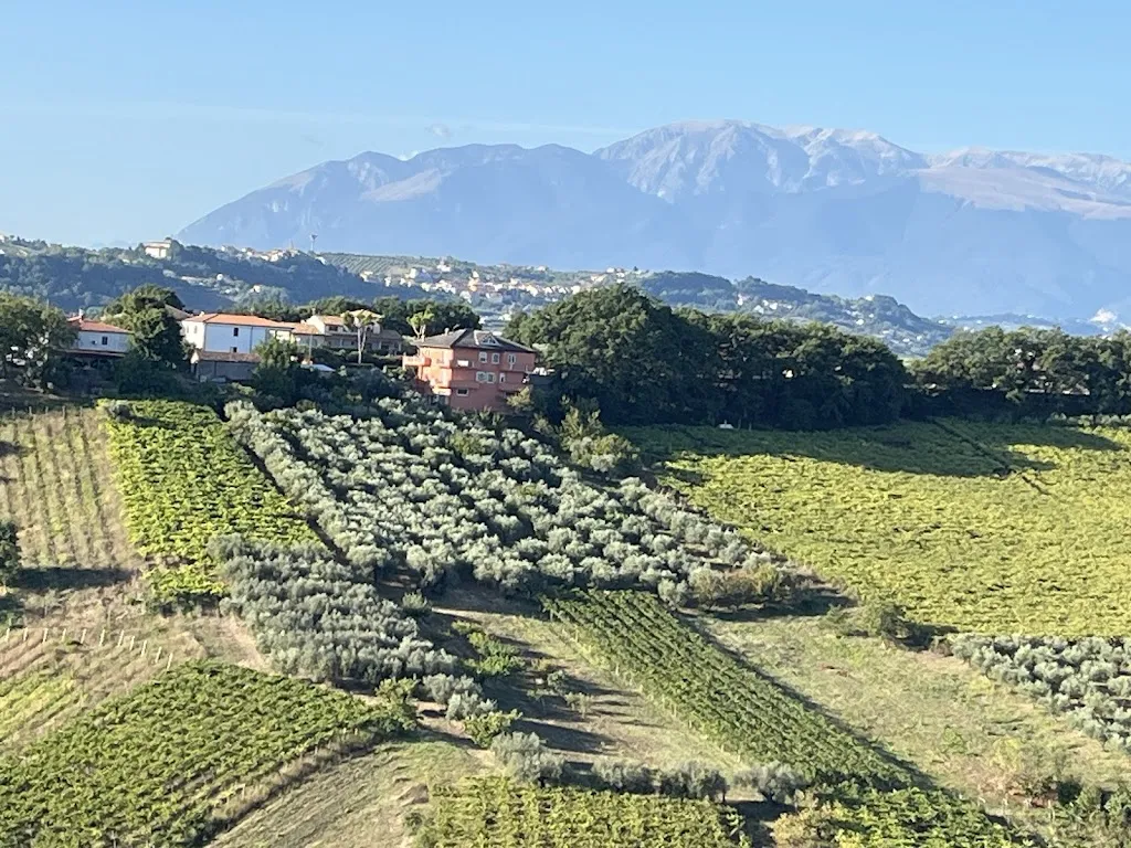 jean-paul thys_Villa Floridia_Ripa Teatina_review