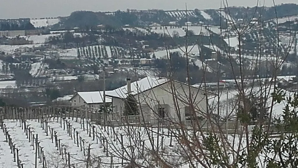 Cantina Ripa Teatina_Ripa Teatina_slider_image_2