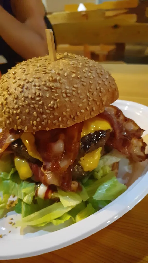 Bio Burgers_San Mauro Pascoli_slider_image_2