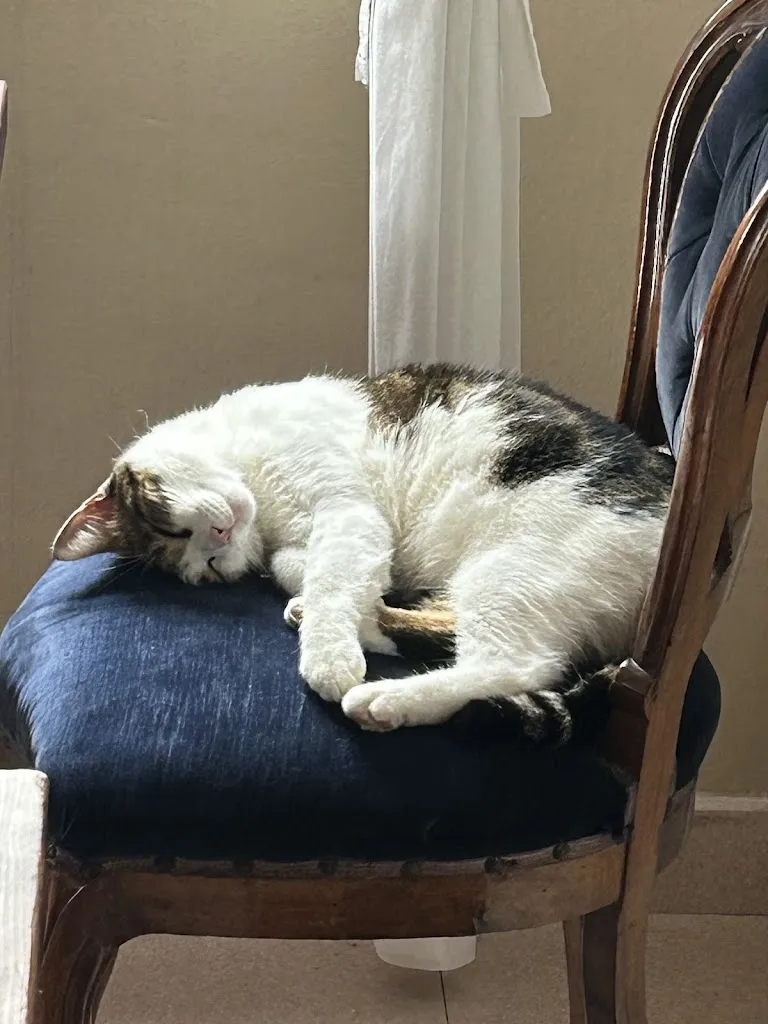 Stuart Wilson_Locanda San Martino_San Martino in Rio_review