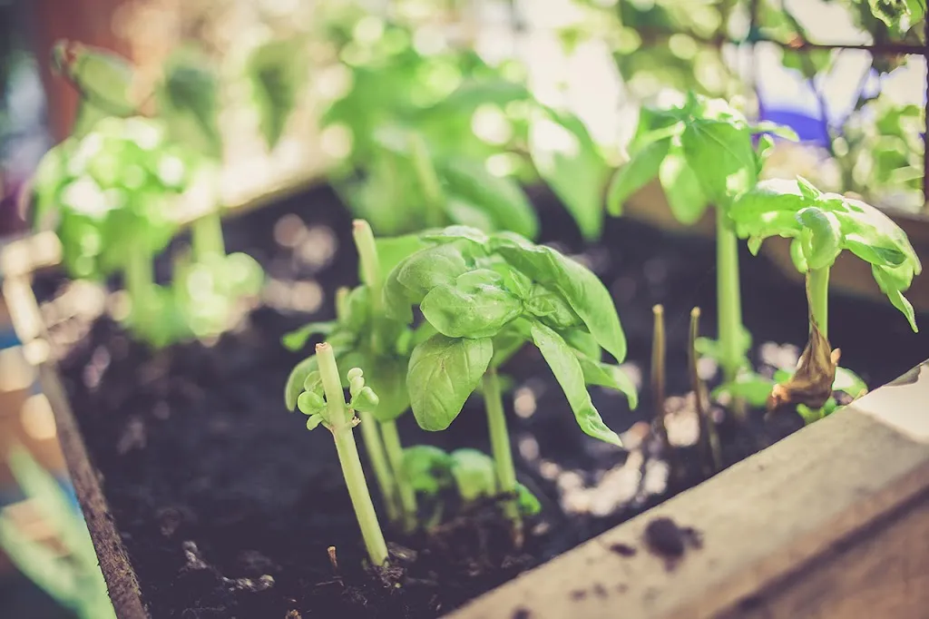Menu_Bar Mario_San Martino in Rio_image_4