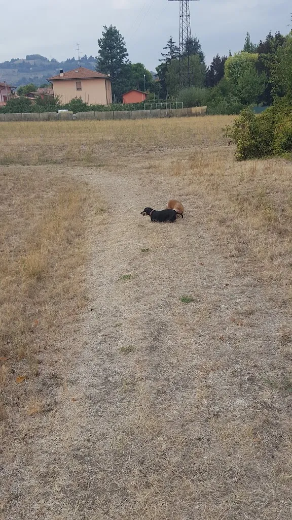 Bar Harley_San Polo d'Enza_slider_image_2