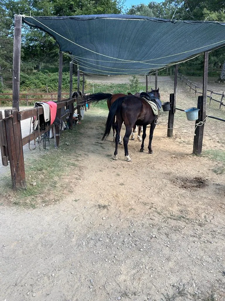 Nicola Cevoli_Fattoria Cà di Gianni_San Piero in Bagno_review