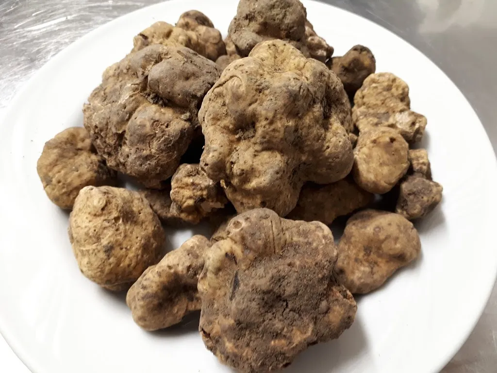 Fattoria Cà di Gianni_San Piero in Bagno_slider_image_3