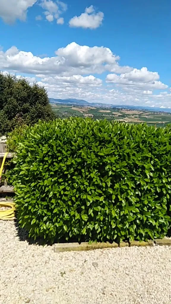 Il Vecchio Braciere_San Venanzio_slider_image_2