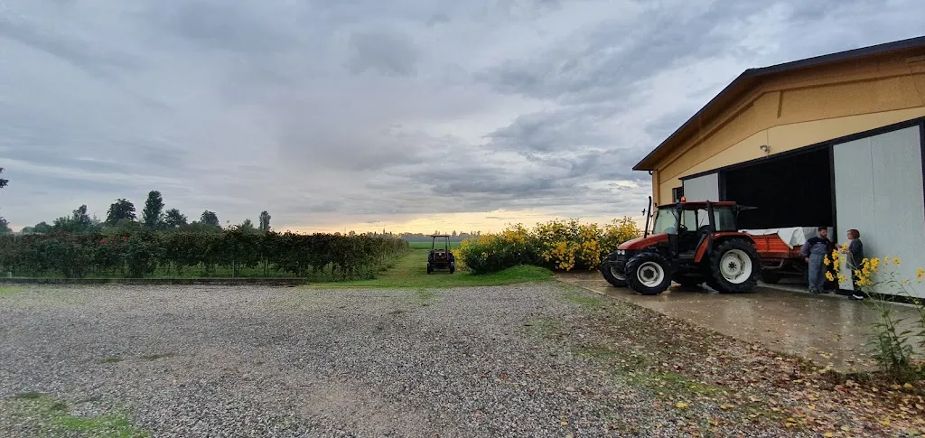 Agriturismo San Geminiano_San Prospero_slider_image_2