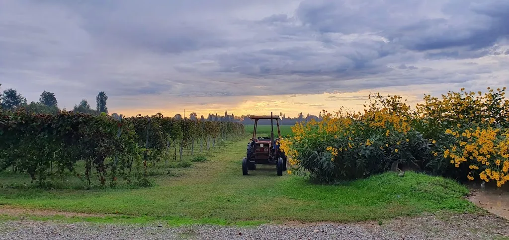 Agriturismo San Geminiano_San Prospero_slider_image_3