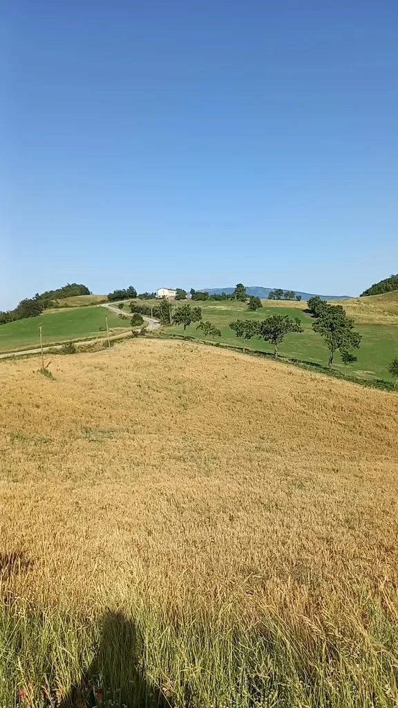 Ristorante Il Palazzo_Sant'Agata Feltria_slider_image_2