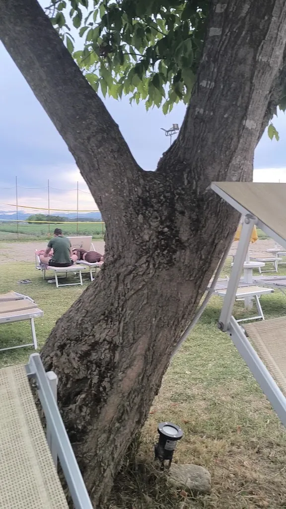 Morena Balugani _IL BARONE ROSSO_Sant'Agata Bolognese_avis