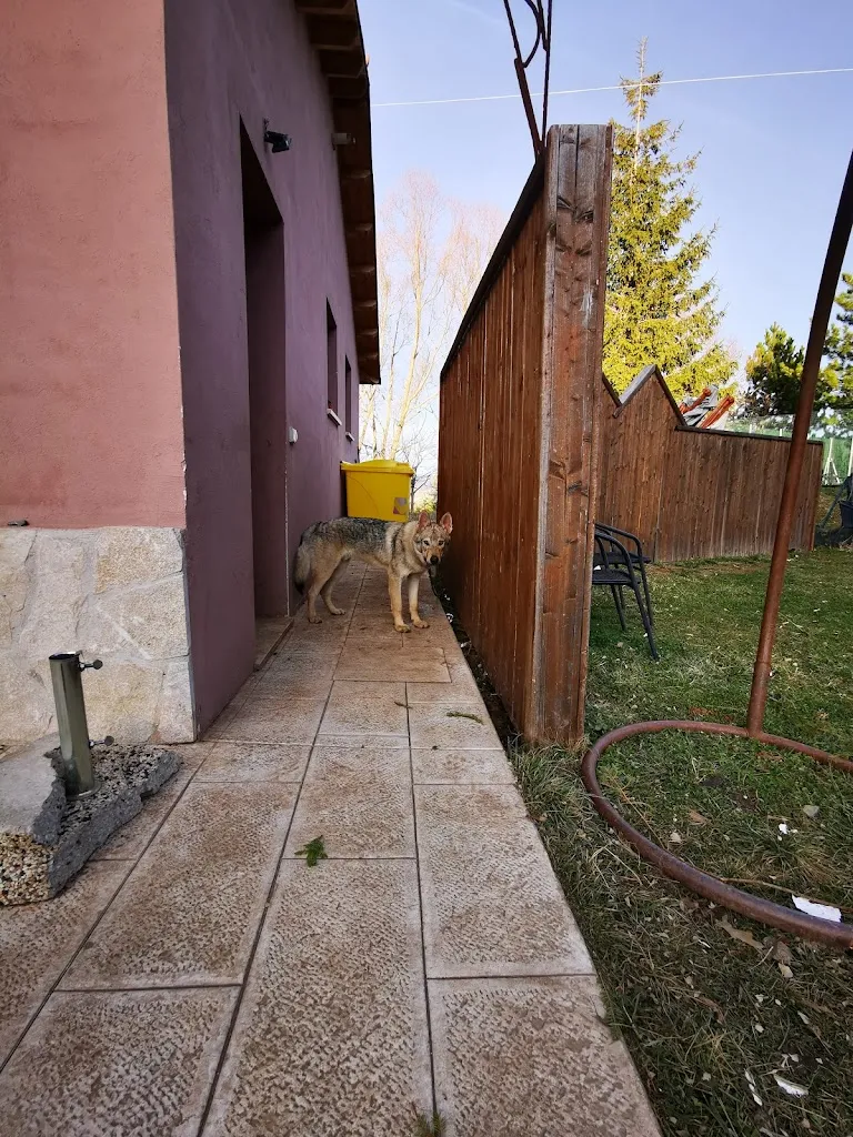 Riccardo Rosa_Bistrot Rizziero_Rivisondoli_Bewertung