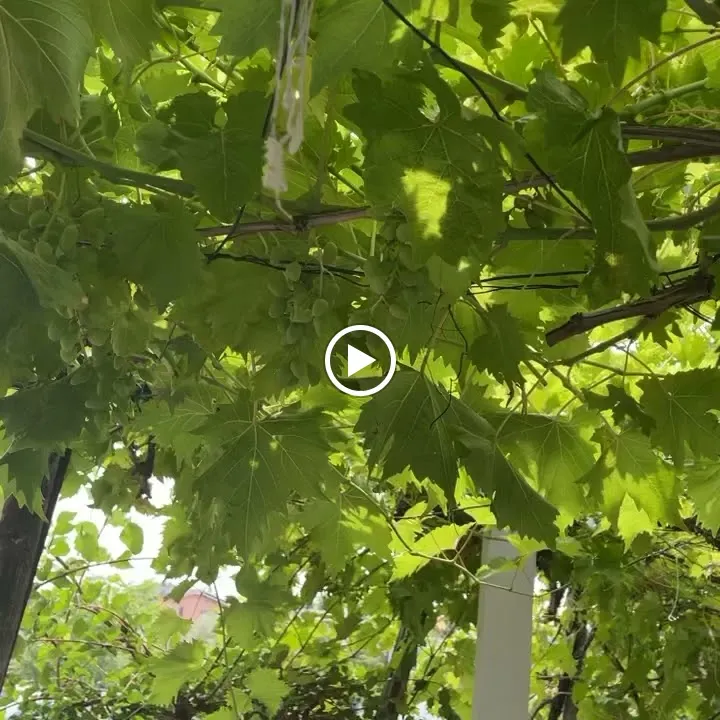 New Factory- Prosciutteria_Serramazzoni_slider_image_2