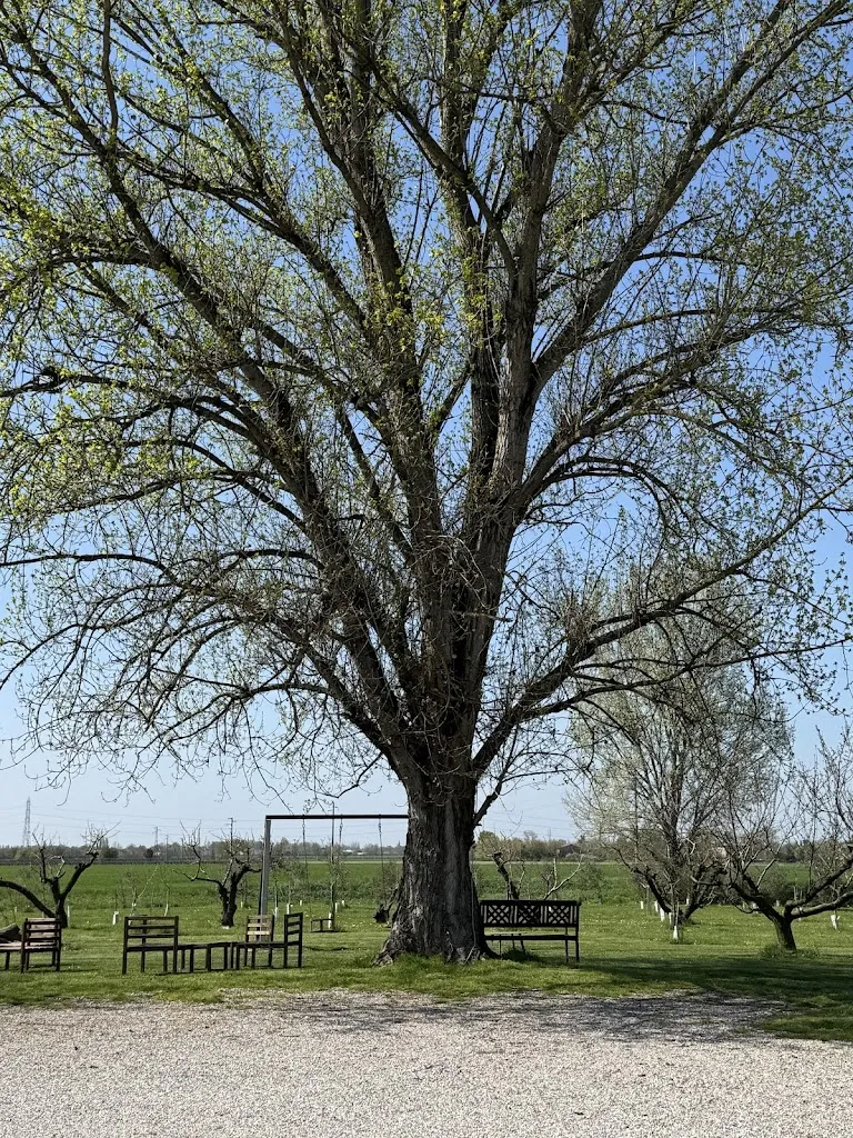 Amit Bluman_Fattoria Maria_Soliera_review