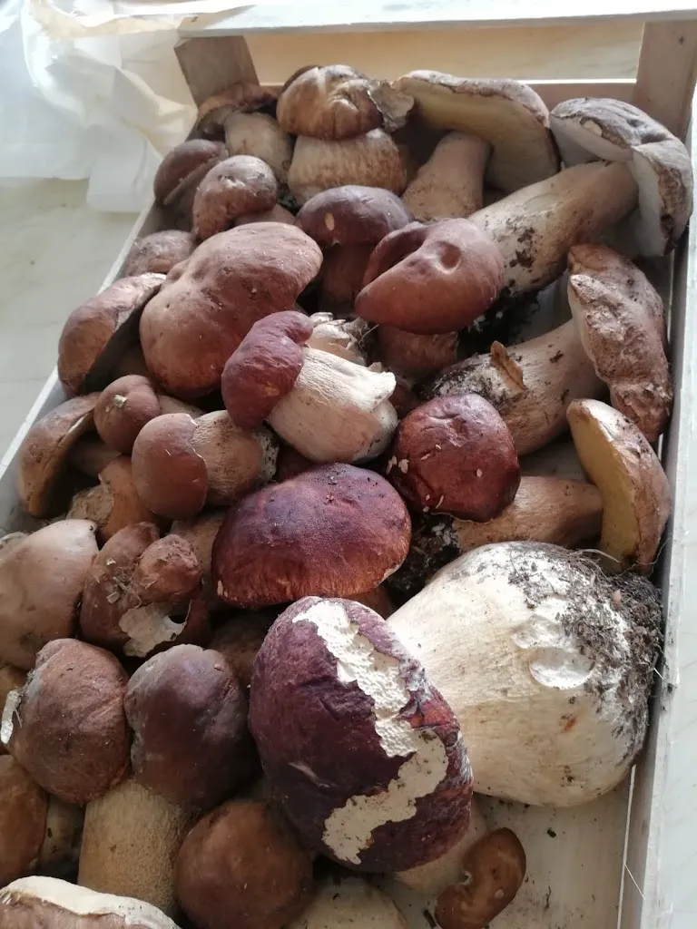 Menu_Trattoria Alba di Giovanelli - Specchio_Solignano_image_9