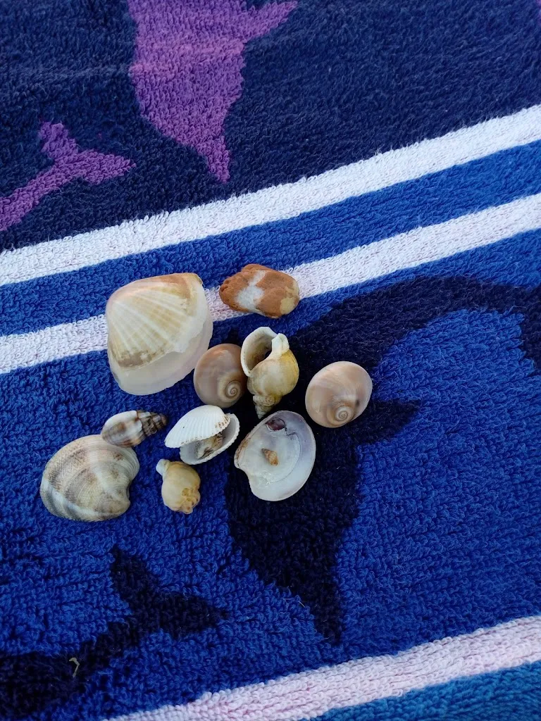 Menu_Autogrill Rubicone Ovest_Savignano sul Rubicone_image_8