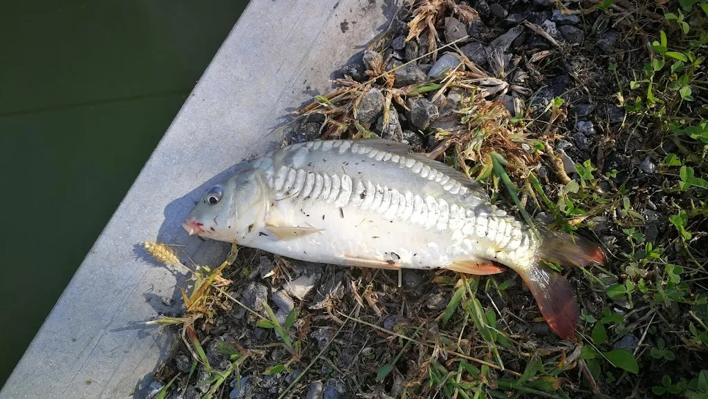 Laghi le Ruote_Soragna_slider_image_2