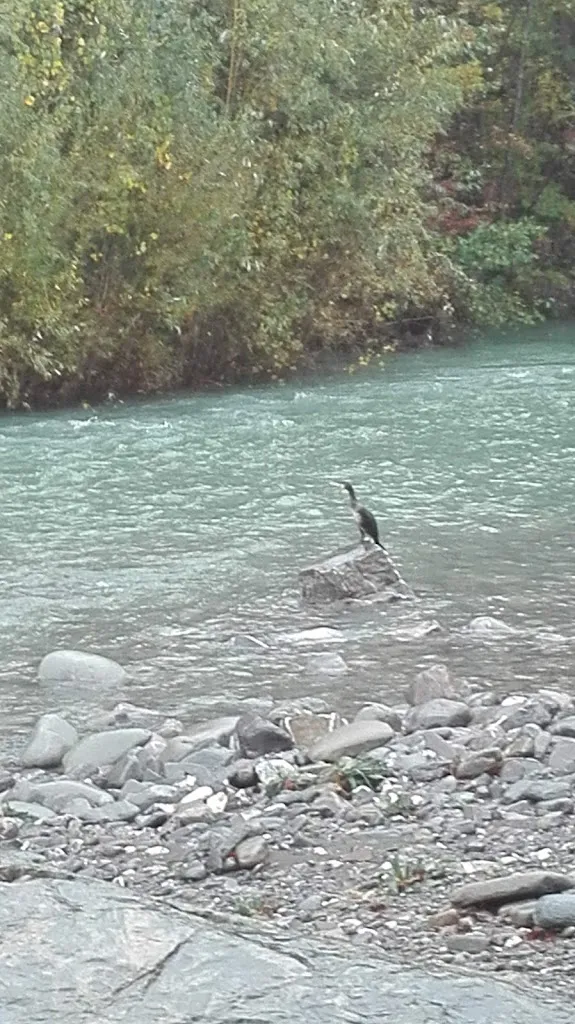 Mirella Carrasco_Lido del Groppo Bar_Tornolo_review