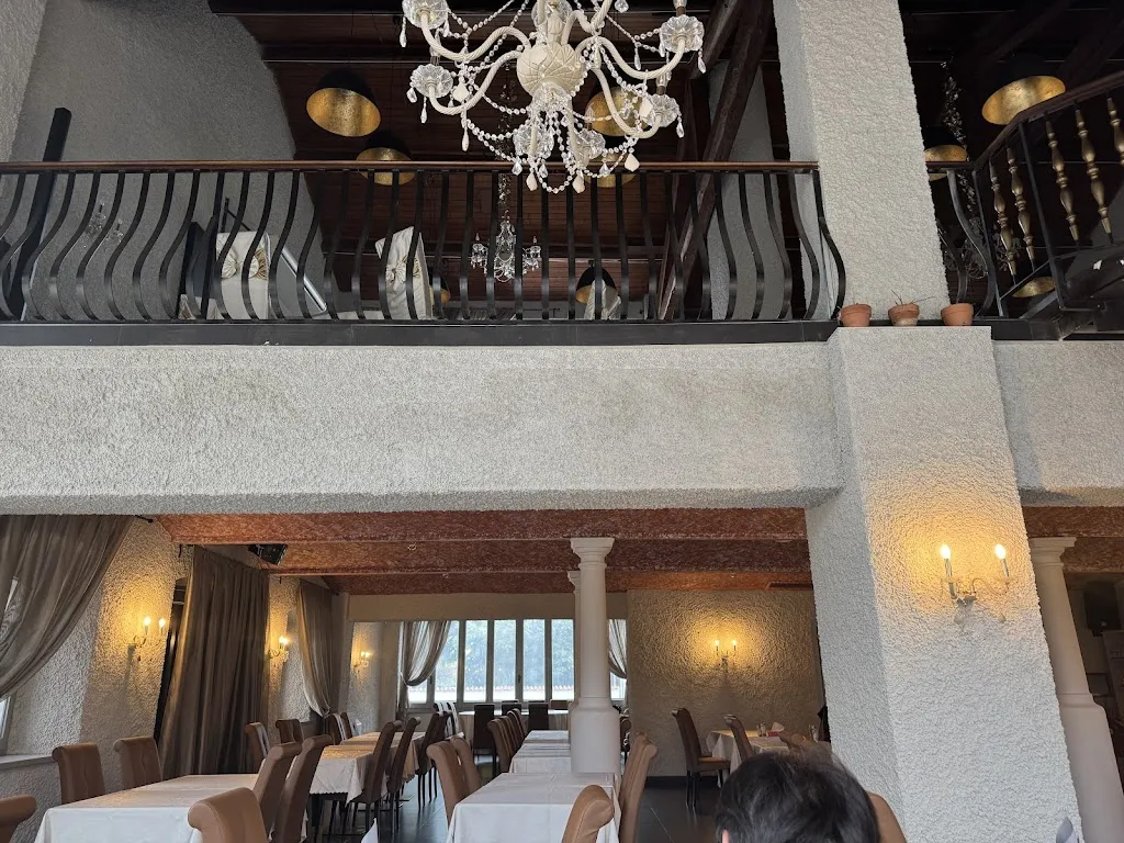 even Sun_oste ombroso gatto nero_Sorbolo_Bewertung