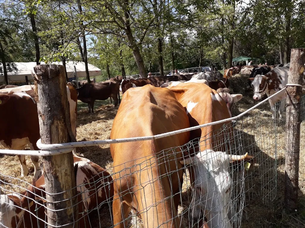 Caffè Atelier Di Hu Ying Ying_Varano De' Melegari_slider_image_3
