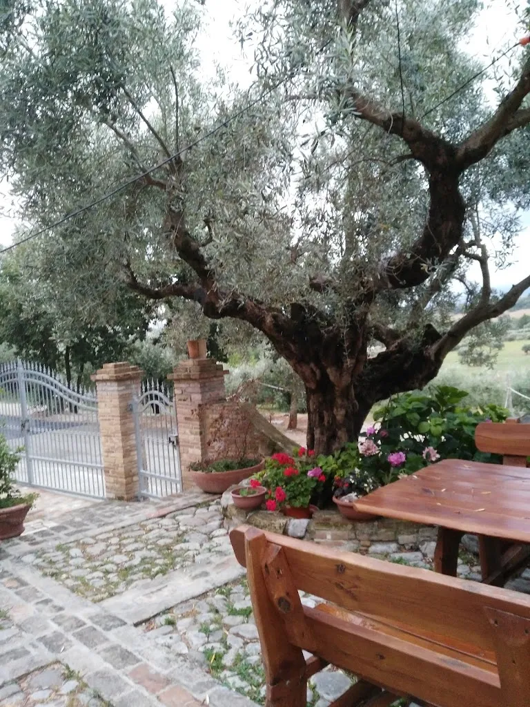 Elena Renis_Home Restaurant Confraternita del Cif e ciaf_Rosciano_review