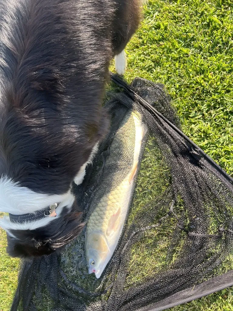 Giuseppe Calissi_Laghi cronovilla_Traversetolo_review