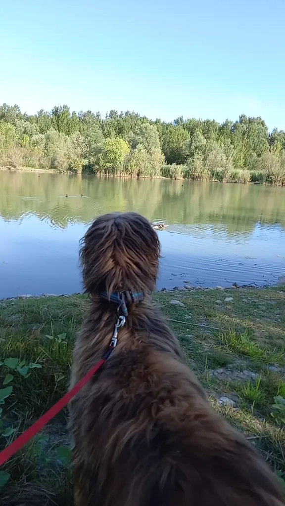 Laghi cronovilla_Traversetolo_slider_image_2