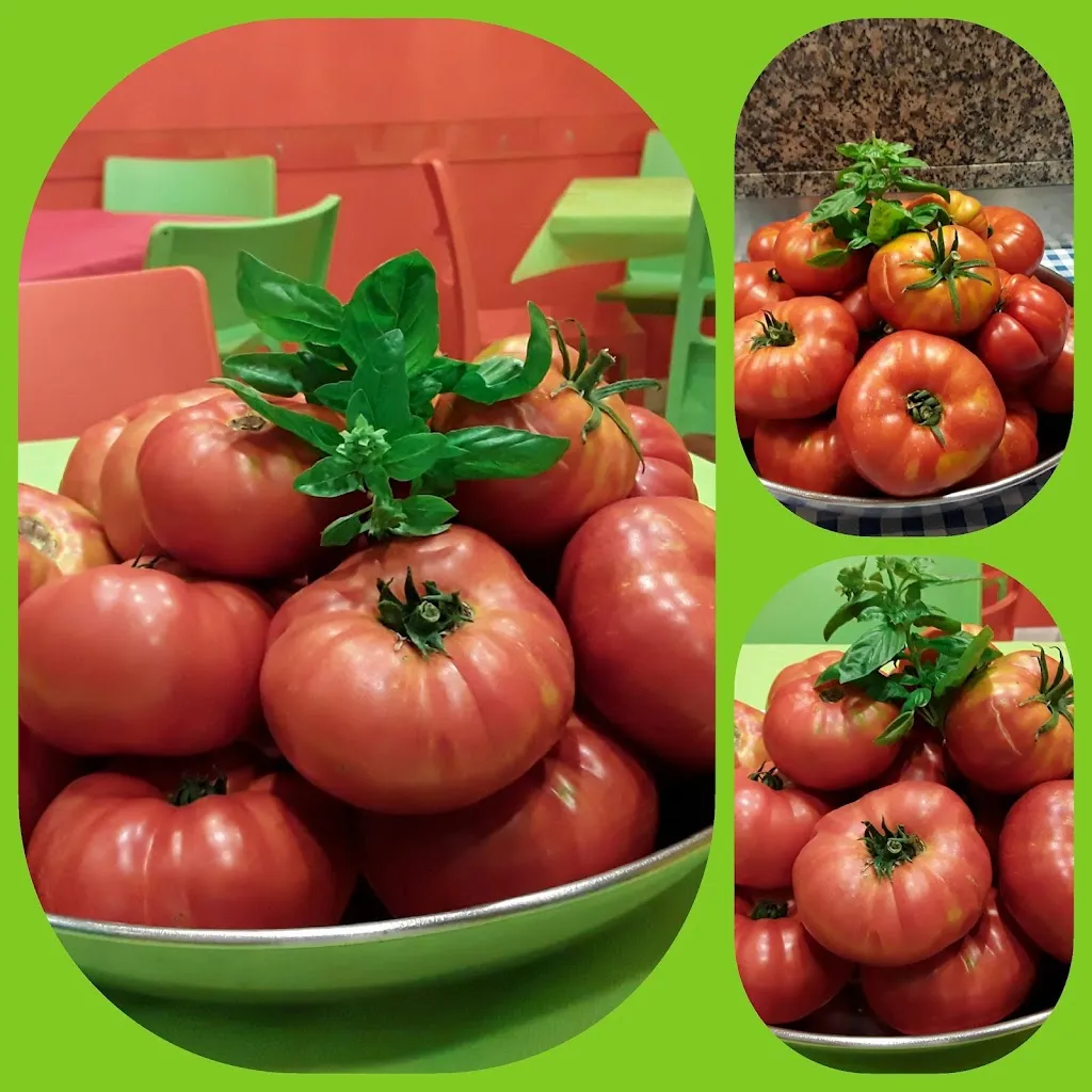 Menu_Pizzeria - Piadineria 