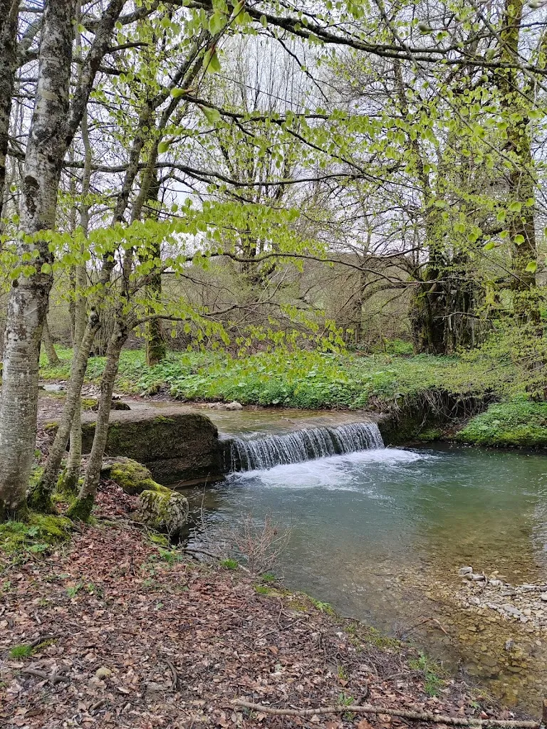 Letizia Savini_Ristorante La Straniera_Verghereto_review