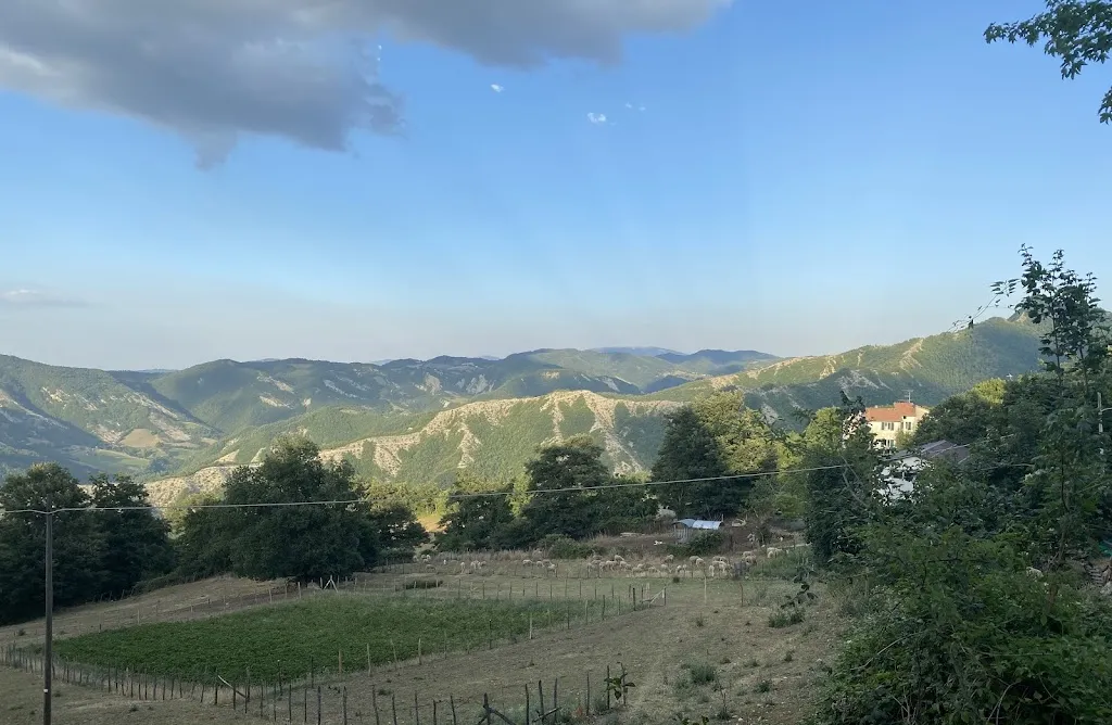 Antonio De Frutos_Giuditta-Ristorante-Locanda_Verghereto_review