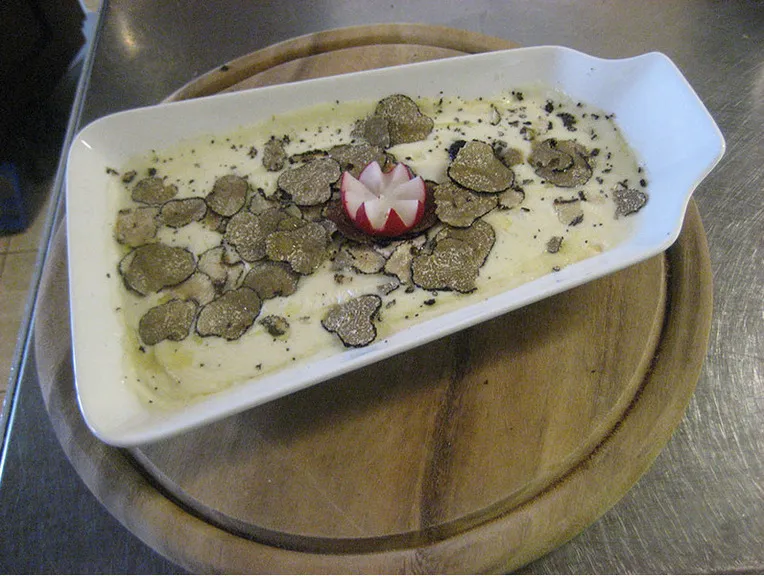 Bologna Tartufunghi_Vergato_slider_image_3