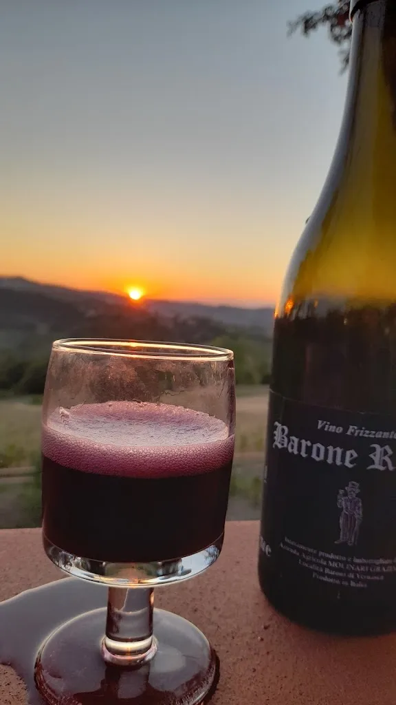 Menu_Agriturismo Villa Baroni_Vernasca_image_8